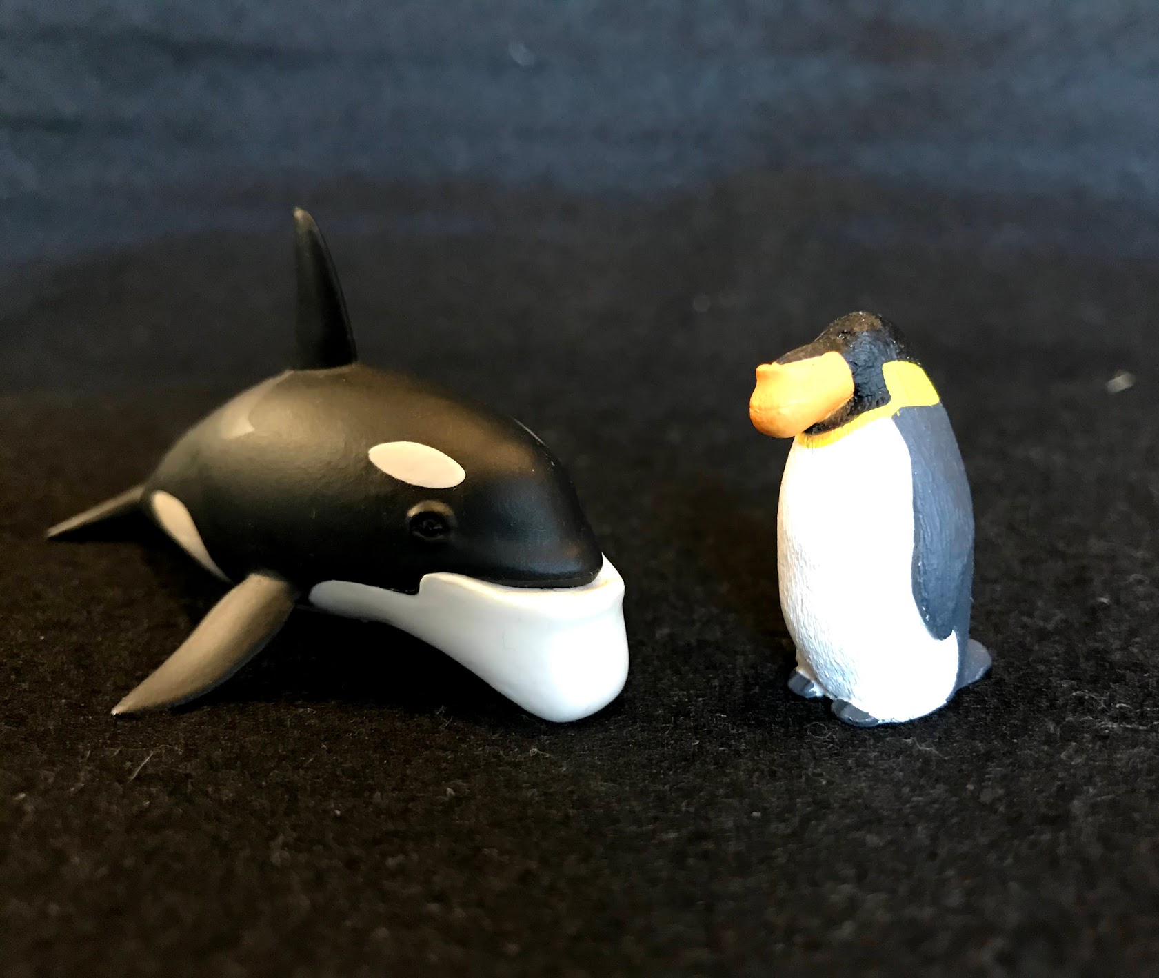 シャクレシリーズのしゃくれ具合がツボすぎます4 シャチ ペンギン